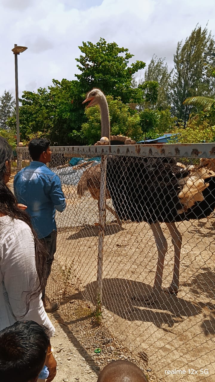 Educational Trip -Exploring New Places